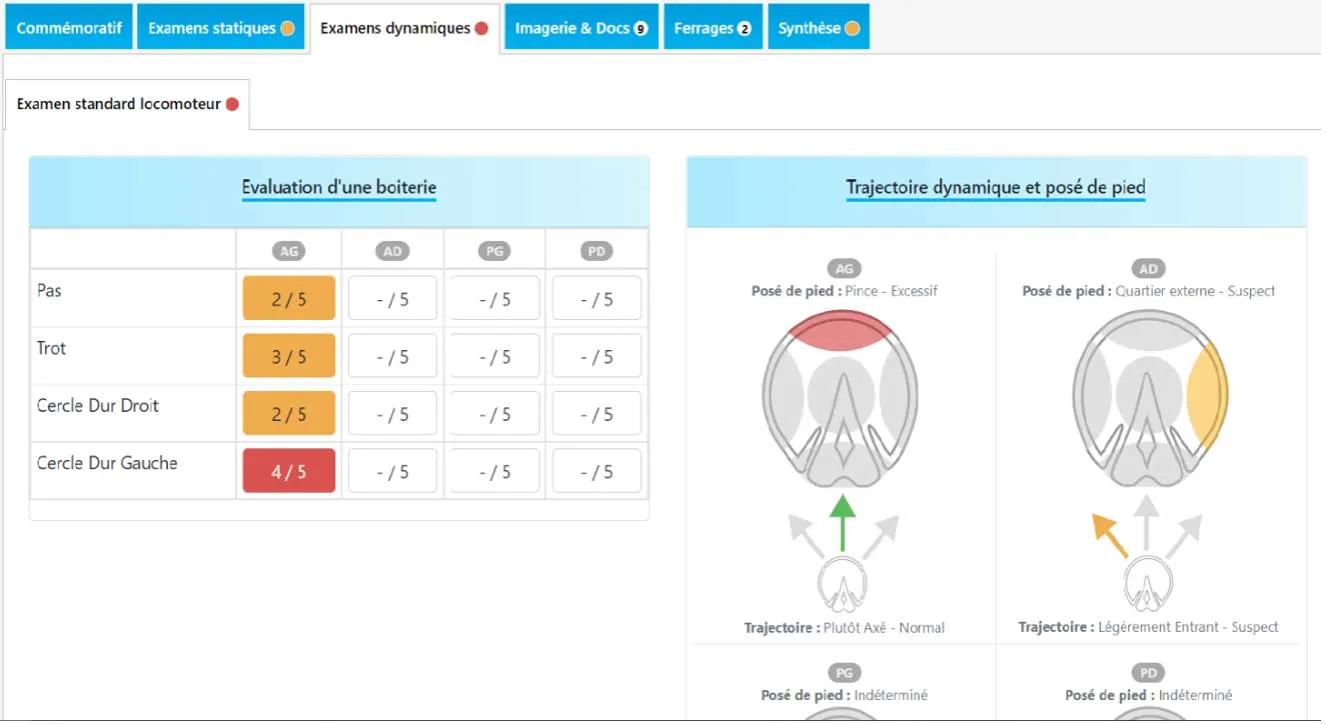 Capture d'écran d'un rapport d'orthopédie généré par HIPPOTYPOSE