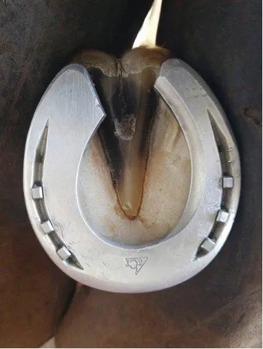 Fer asymétrique antérieur