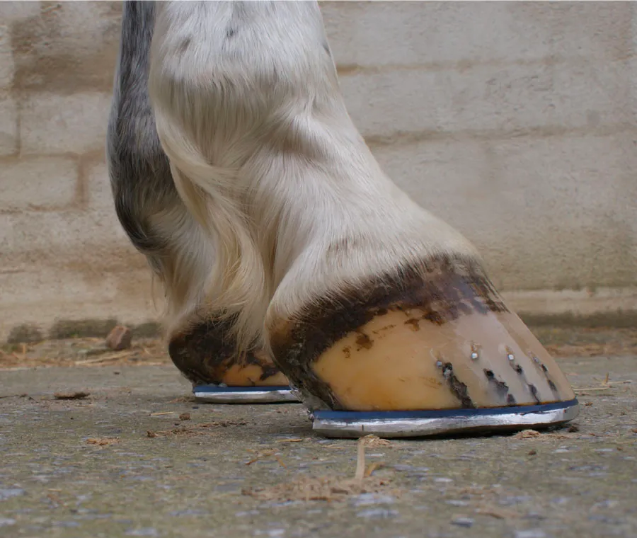 Fer aluminium avec plaque viscoélastique - vue 2