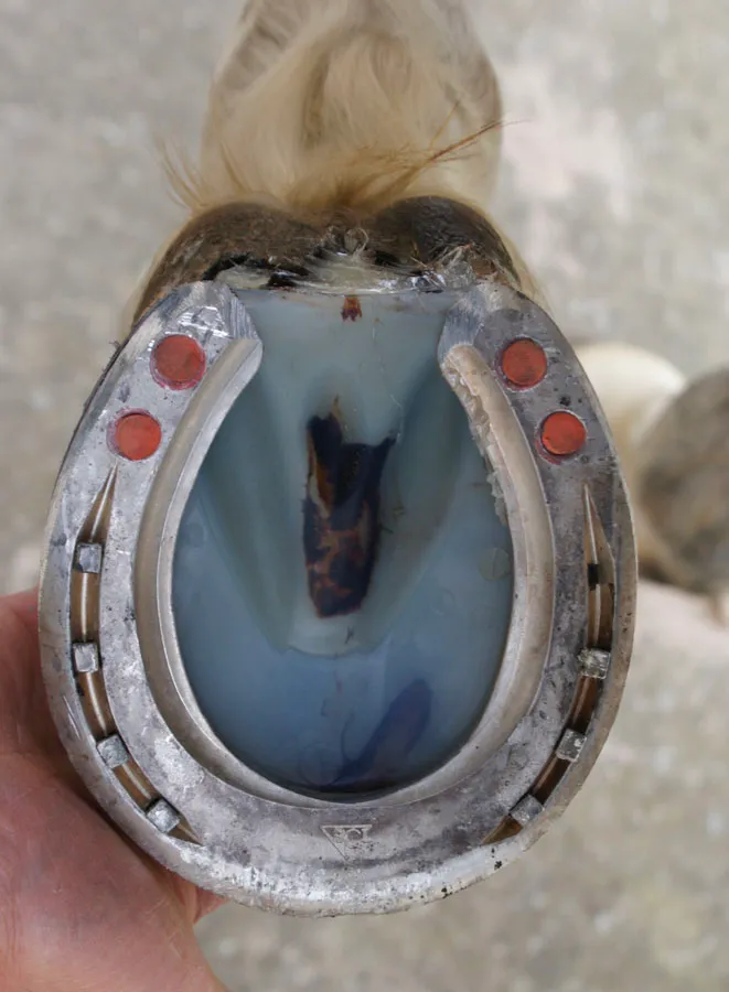 Fer aluminium avec plaque viscoélastique - vue 3