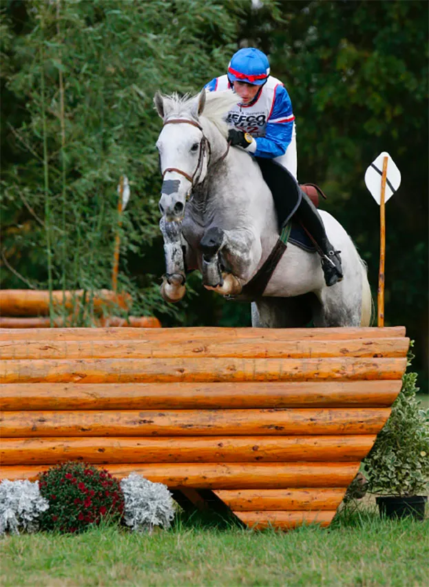 Fer aluminium avec plaque viscoélastique - vue 4