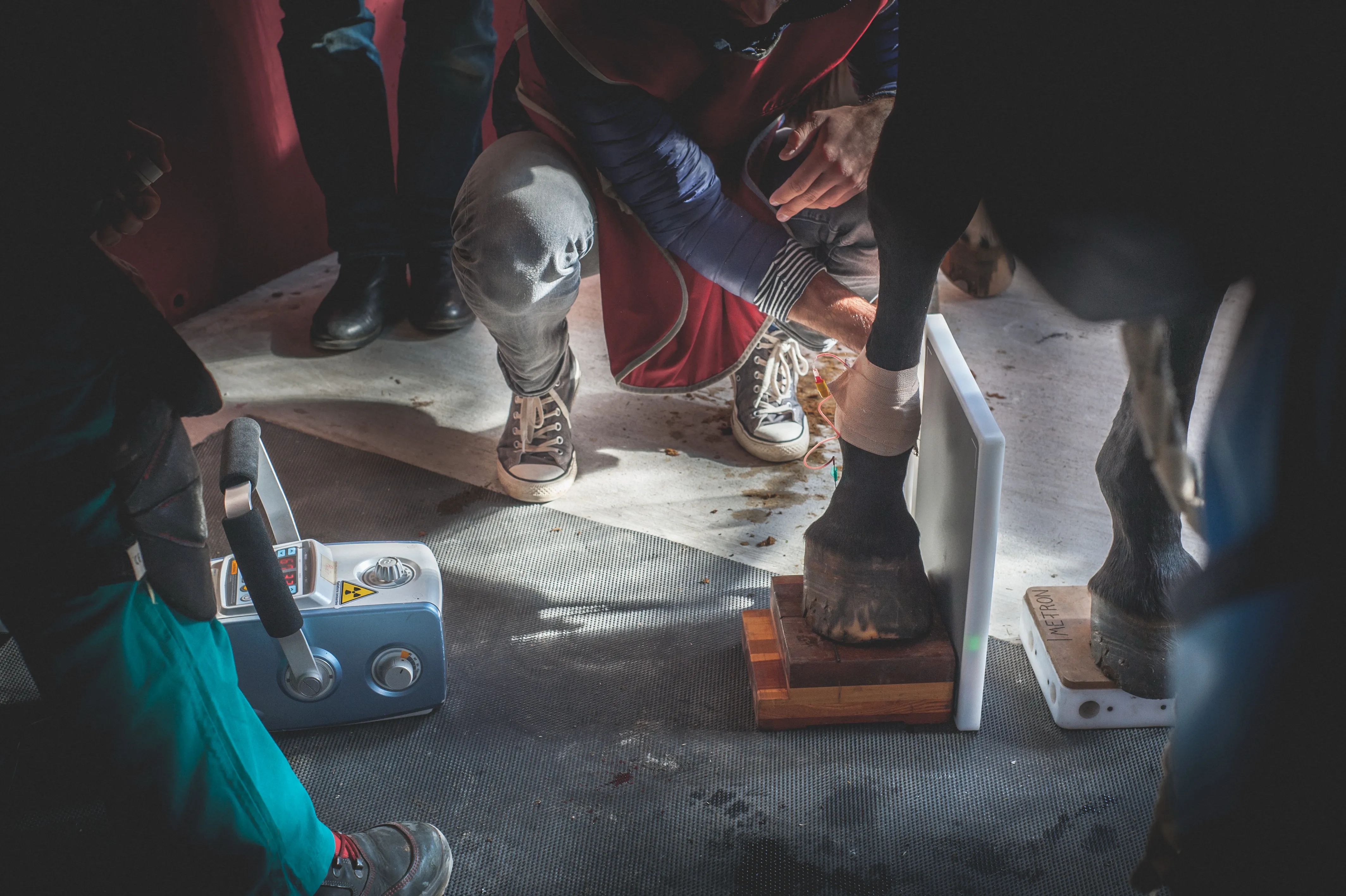 Praticien lors d'une formation HIPPOTYPOSE